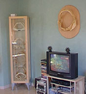 FrenchAlbert Has A Sharkin' TV Room ;-)